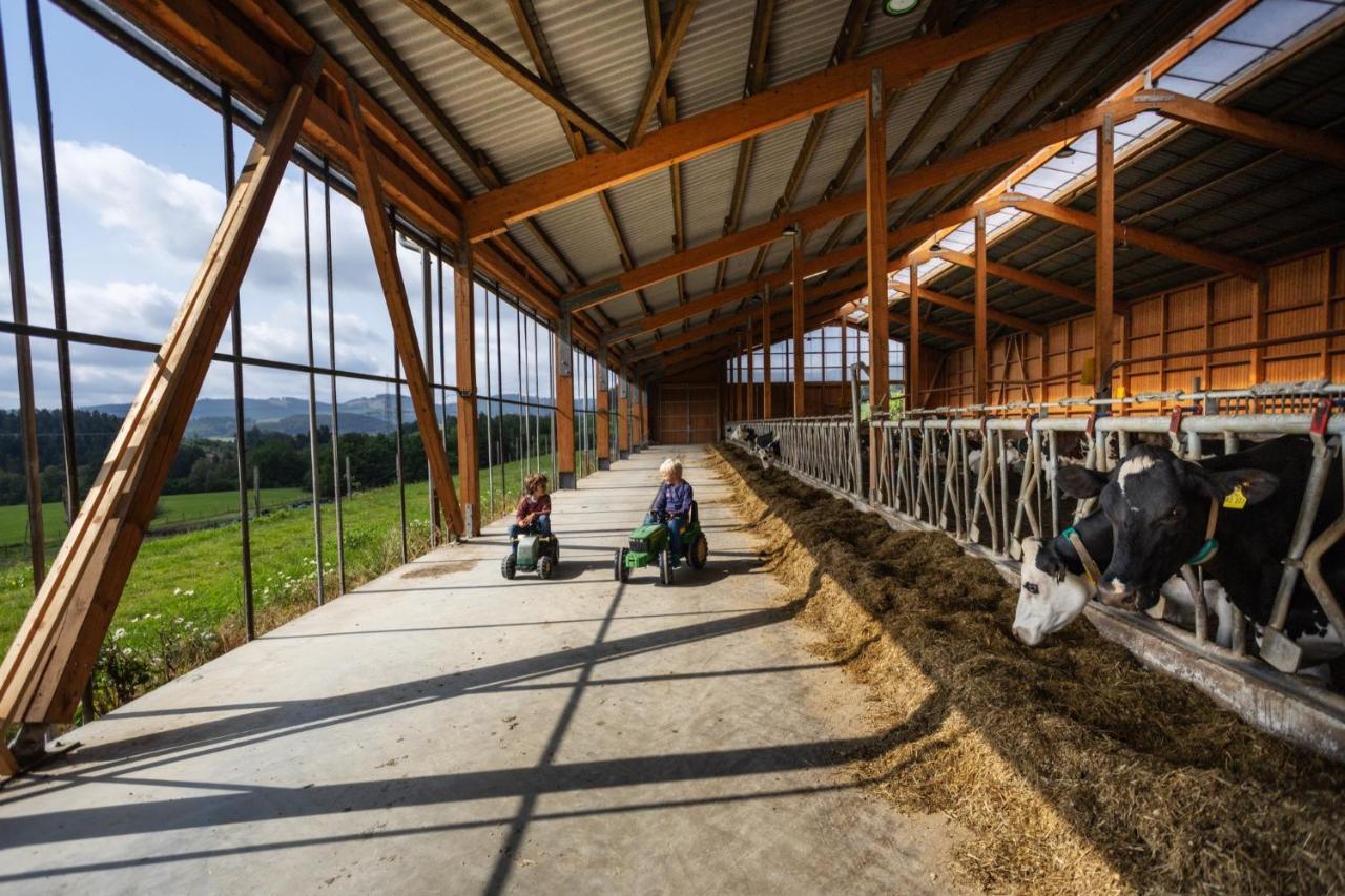 Hof Keppel, Der Stromlose Urlaub Fue Schmallenberg Bagian luar foto
